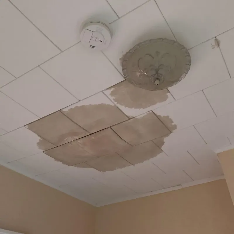 Ceiling Water Damage Repair in Woodfin, NC