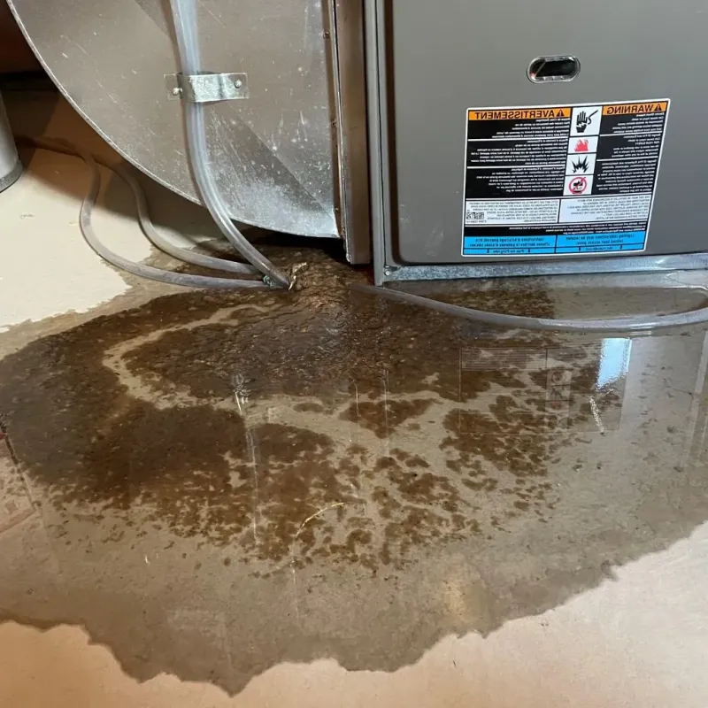 Pipe Burst and Leak Restoration in Woodfin, NC