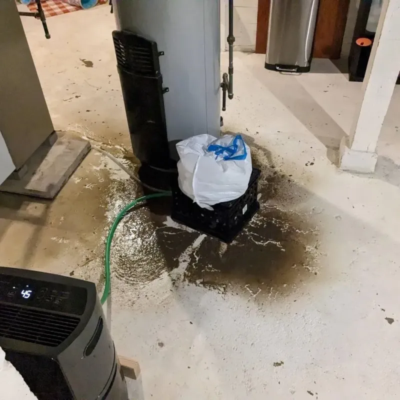 Sewage Backup Cleanup Service in Woodfin, NC
